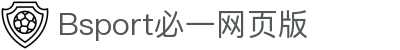 必一(运动科技有限公司)官方网站-B·Sport